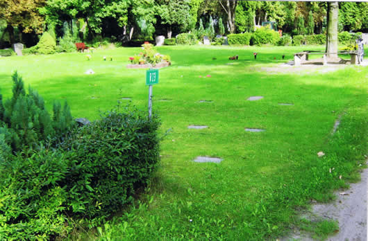 Erdreihenstelle in Wiese mit Grabplatte (Grüne Wiese)